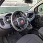 Fiat Panda Panda 1.2 City Cross s&s Rosso - thumbnail 9