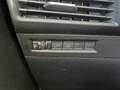 Opel Frontera 1.2 DI MHEV Edition Aut. Grün - thumbnail 18