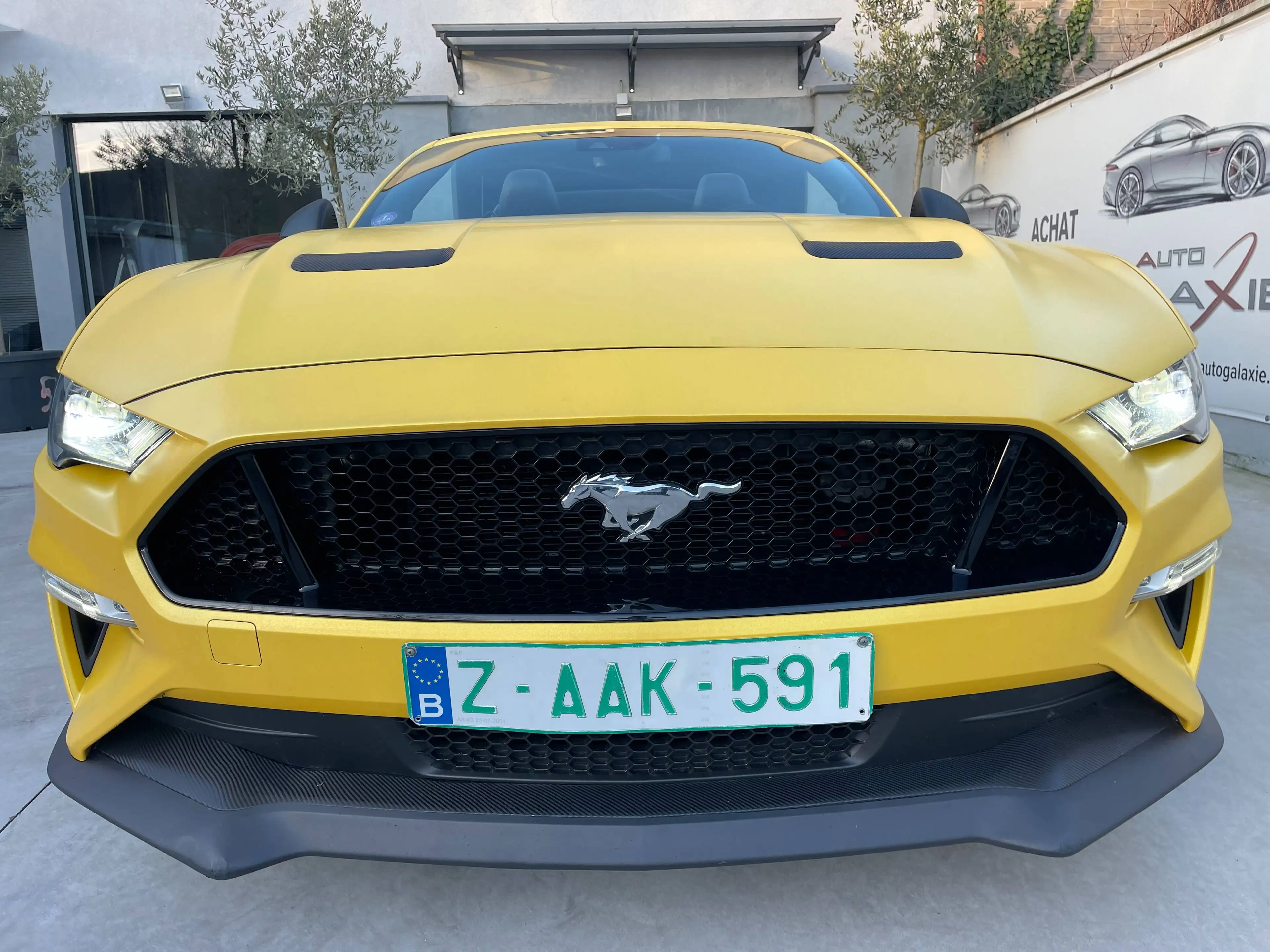 Ford Mustang Mustang Convertible 5.0 Ti-VCT V8 GT — photo 2