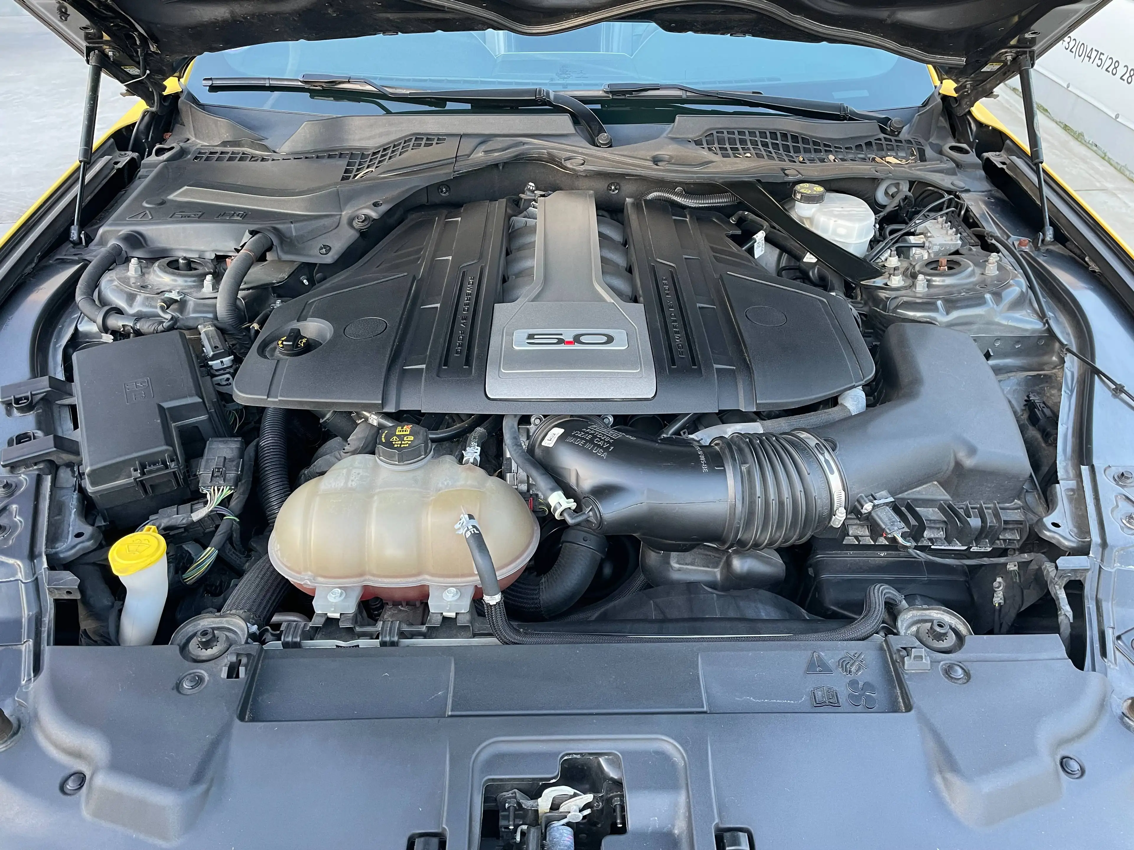 Ford Mustang Mustang Convertible 5.0 Ti-VCT V8 GT — photo 13