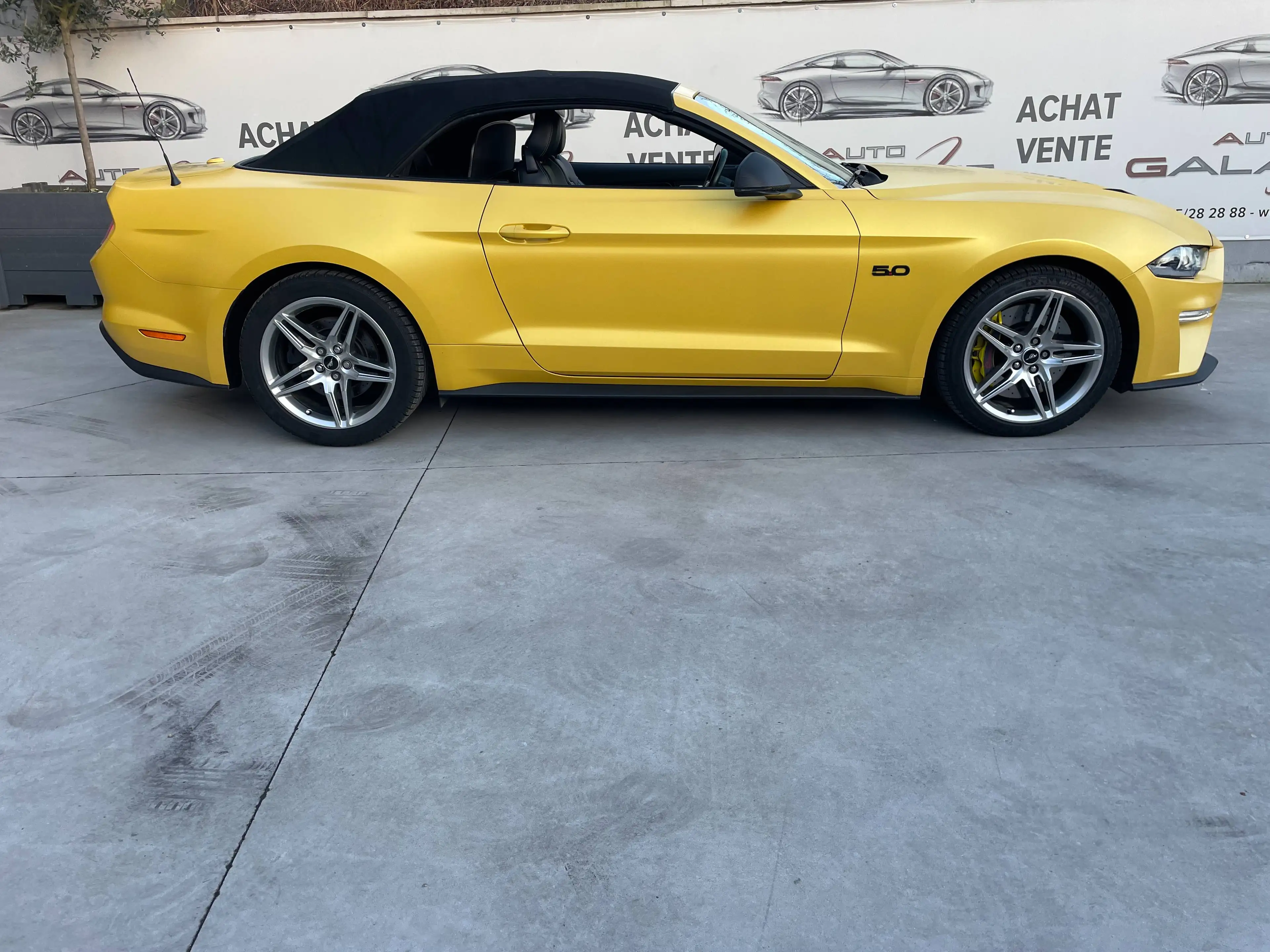 Ford Mustang Mustang Convertible 5.0 Ti-VCT V8 GT — photo 10