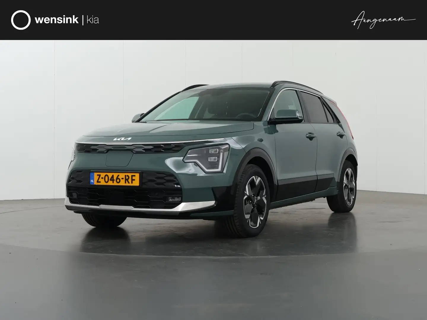 Kia e-Niro EV Edition Advanced 64.8 kWh | Lederen Bekleding | Groen - 1