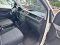 Volkswagen Caddy Nfz Kasten BMT Klimaanlage Weiß - thumbnail 8
