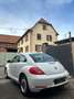 Volkswagen Coccinelle 1.6 TDI 105 FAP Vintage Bianco - thumbnail 3