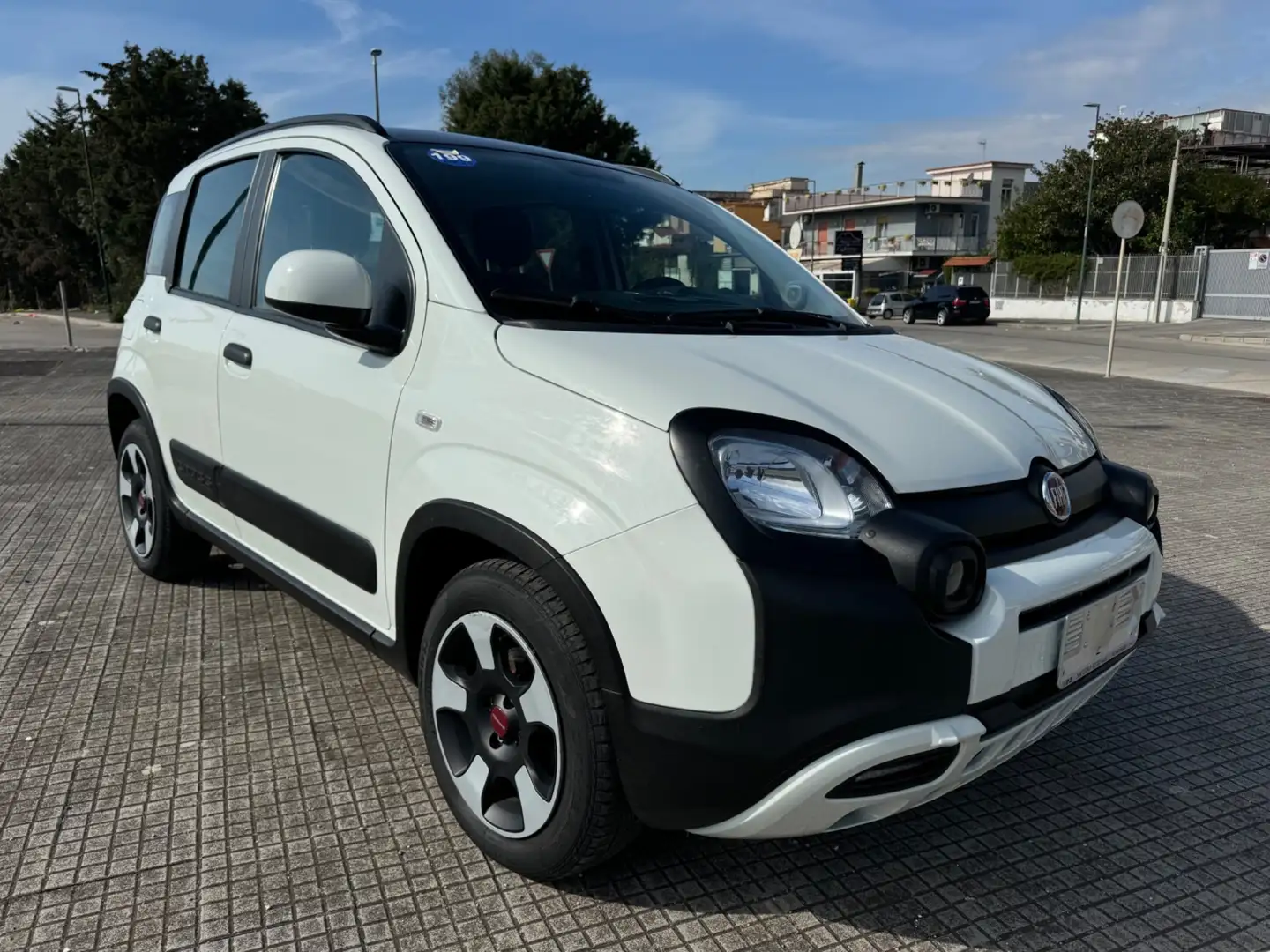 Fiat Panda 1.0 FireFly S&S Hybrid City Cross Bianco - 1