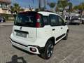 Fiat Panda 1.0 FireFly S&S Hybrid City Cross Bianco - thumbnail 5