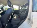 Fiat Panda 1.0 FireFly S&S Hybrid City Cross Bianco - thumbnail 14
