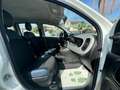 Fiat Panda 1.0 FireFly S&S Hybrid City Cross Bianco - thumbnail 12