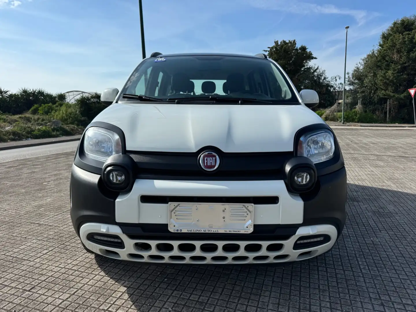 Fiat Panda 1.0 FireFly S&S Hybrid City Cross Bianco - 2