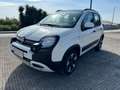 Fiat Panda 1.0 FireFly S&S Hybrid City Cross Bianco - thumbnail 3