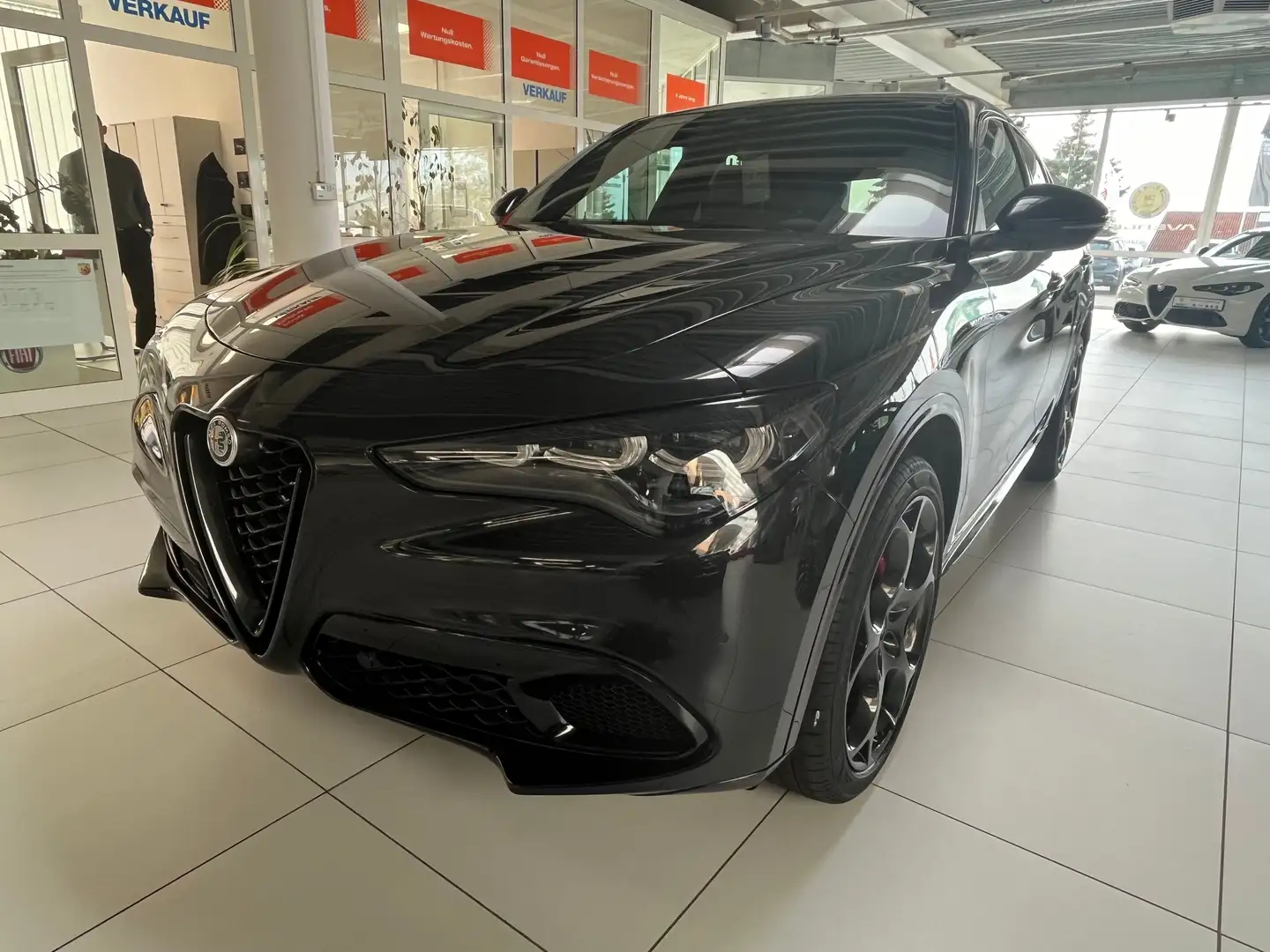 Alfa Romeo Stelvio Veloce 2.0 Q4 - LEDER+RFK+SHZ+el.HK Noir - 1