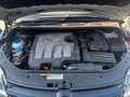 Volkswagen Golf Plus Golf Plus 1.6TDI Advance BMT DSG Advance Plateado - thumbnail 7