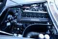Maserati Spyder Mistral 3700 "One of 12" Frame-off restoration - b Zilver - thumbnail 4