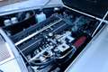 Maserati Spyder Mistral 3700 "One of 12" Frame-off restoration - b Zilver - thumbnail 29