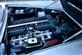Maserati Spyder Mistral 3700 "One of 12" Frame-off restoration - b Zilver - thumbnail 9