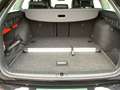 Skoda Octavia Combi 2.0 TDI DSG Tour AHK Matrix Standh Schwarz - thumbnail 16