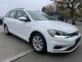 Volkswagen Golf Variant VII TGI Comfortline DSG ACC PDC Weiß - thumbnail 4
