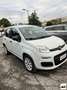 Fiat Panda 0.9 TwinAir Turbo Natural Power Lounge Bianco - thumbnail 1