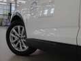 Audi Q3 35 TFSI intense Weiß - thumbnail 4