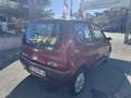 Fiat 600 50.000Km CLIMA E IDROGUIDA - thumbnail 4