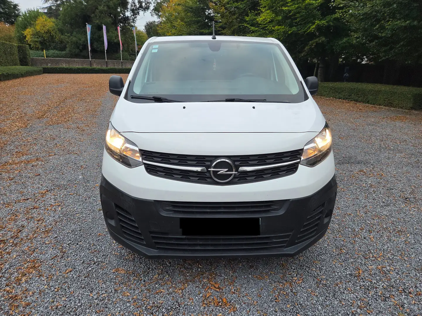Opel Vivaro Vivaro 2.0 D Cargo S EHZ INNOVATION Blanc - 2