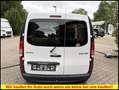 Mercedes-Benz Citan Kasten 109/111 CDI extralang Blanc - thumbnail 4