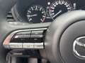 Mazda 3 Fastback Selection Premium Paket Grigio - thumbnail 12