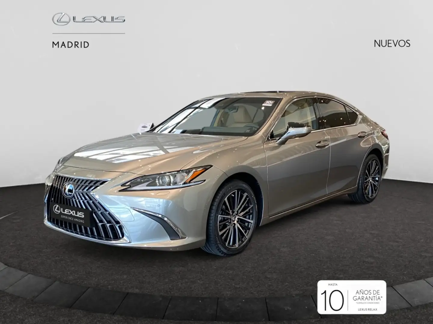 Lexus ES 300 300h Premium Šedá - 2
