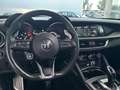 Alfa Romeo Stelvio 2.2 T.diesel 190CV AT8 Q4 Sp.-T. Bianco - thumbnail 15