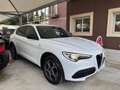 Alfa Romeo Stelvio 2.2 T.diesel 190CV AT8 Q4 Sp.-T. Bianco - thumbnail 1