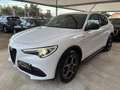 Alfa Romeo Stelvio 2.2 T.diesel 190CV AT8 Q4 Sp.-T. Bianco - thumbnail 3