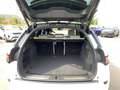 Land Rover Range Rover Velar D300  LUMMA CRL GT BODYKIT Blanco - thumbnail 26