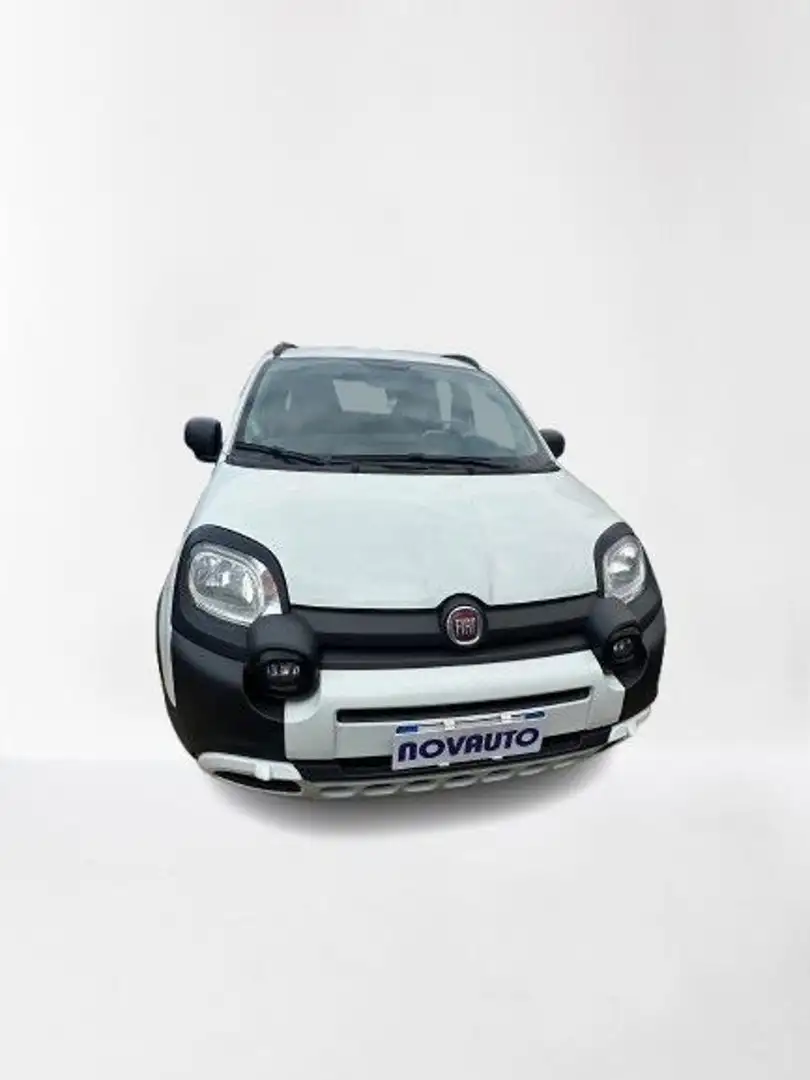 Fiat Panda Cross 1.0 FireFly S&S Hybrid Wit - 2