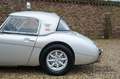 Austin-Healey 3000 MK2 Prepared for rally's, very well maintained, fa Gris - thumbnail 42