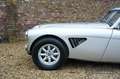 Austin-Healey 3000 MK2 Prepared for rally's, very well maintained, fa Gris - thumbnail 29