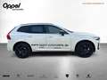 Volvo XC60 XC 60 T8 AWD Plus Black Ed. PlugIn*AHK*Panoramad Weiß - thumbnail 5