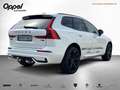 Volvo XC60 XC 60 T8 AWD Plus Black Ed. PlugIn*AHK*Panoramad Weiß - thumbnail 3