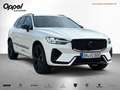Volvo XC60 XC 60 T8 AWD Plus Black Ed. PlugIn*AHK*Panoramad Weiß - thumbnail 7