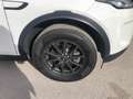 Land Rover Discovery Sport 2.0d td4 mhev S awd 163cv auto 7p.ti Bianco - thumbnail 15
