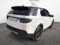 Land Rover Discovery Sport 2.0d td4 mhev S awd 163cv auto 7p.ti Bianco - thumbnail 4