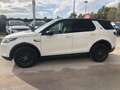 Land Rover Discovery Sport 2.0d td4 mhev S awd 163cv auto 7p.ti Bianco - thumbnail 7