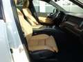 Volvo XC60 Plus Dark T6 AWD 360°/FOUR-C/AHK/BLIS/PANO Weiß - thumbnail 10