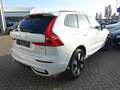 Volvo XC60 Plus Dark T6 AWD 360°/FOUR-C/AHK/BLIS/PANO Weiß - thumbnail 2