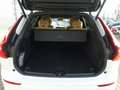 Volvo XC60 Plus Dark T6 AWD 360°/FOUR-C/AHK/BLIS/PANO Weiß - thumbnail 21