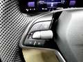 Skoda Karoq Tour AHK,Kamera,SHZ,beh. Frontscheibe Weiß - thumbnail 17