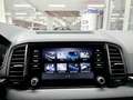 Skoda Karoq Tour AHK,Kamera,SHZ,beh. Frontscheibe Weiß - thumbnail 14