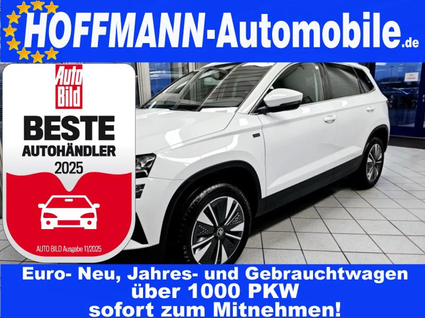 Skoda Karoq Tour AHK,Kamera,SHZ,beh. Frontscheibe Weiß - 1