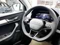 Skoda Karoq Tour AHK,Kamera,SHZ,beh. Frontscheibe Weiß - thumbnail 16