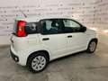 Fiat Panda 1.3 MJT S&S Easy MOTORE NUOVO!!! Bianco - thumbnail 4