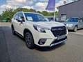 Subaru Forester 2.0ie Lineartronic Comfort White - thumbnail 6